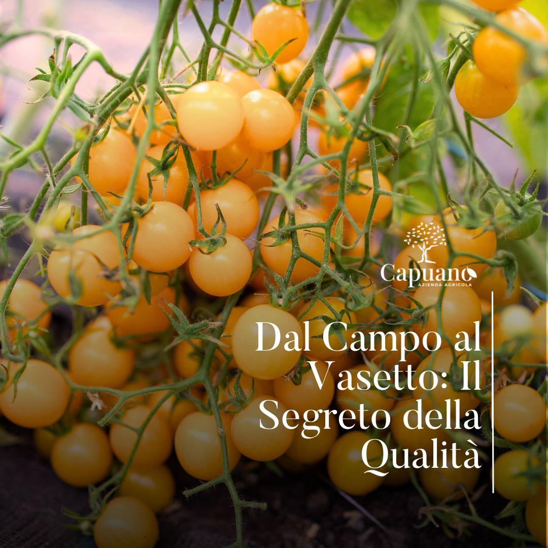 Azienda Agricola Capuano - Premiata agli Italy Food Awards 2025