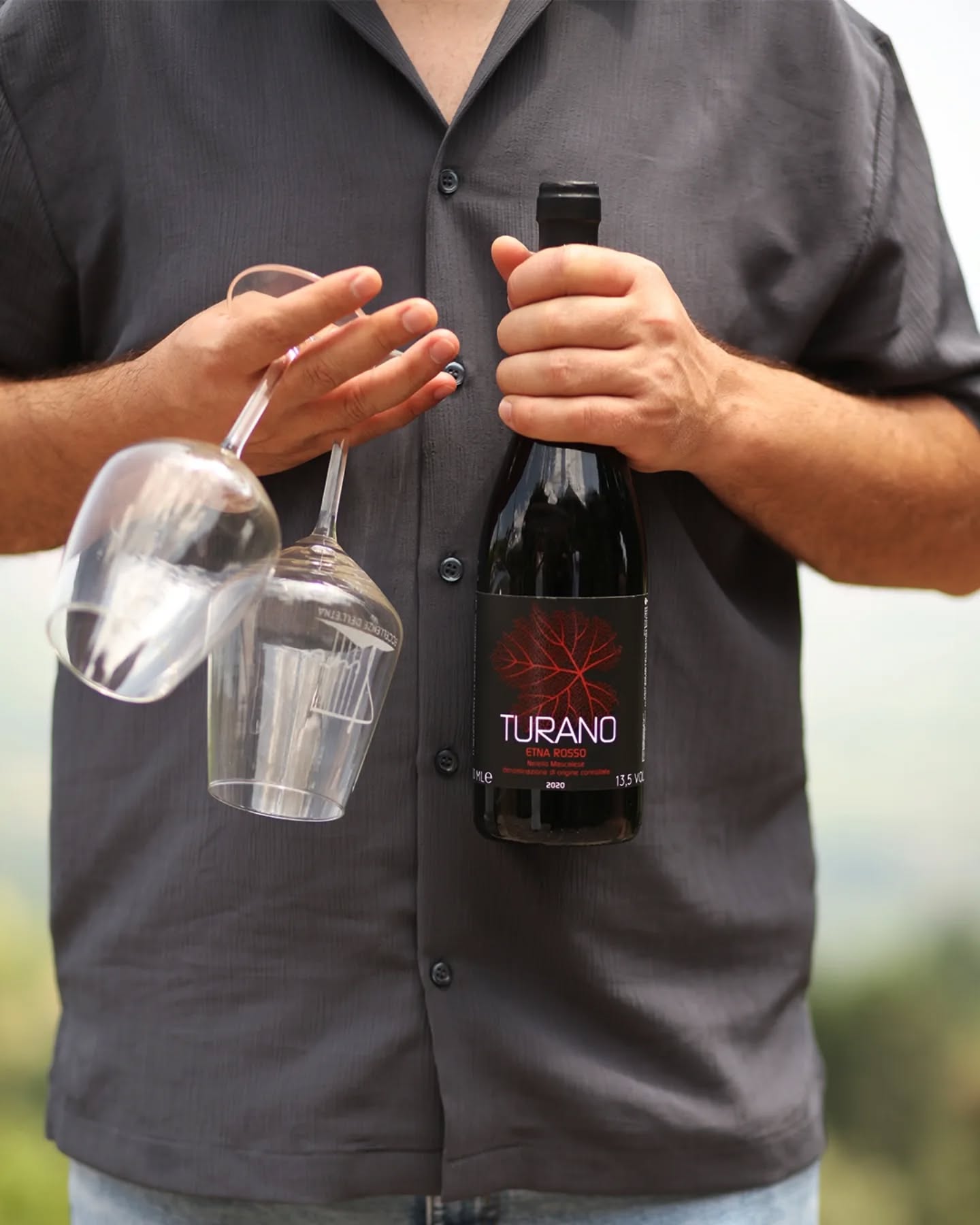 Turi Eccelenze Dell'Etna - Un Viaggio tra Vino, Natura e Tradizioni sull'Etna