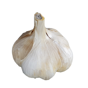 AGLIONE DELLA VALDICHIANA BIO 1000 gr