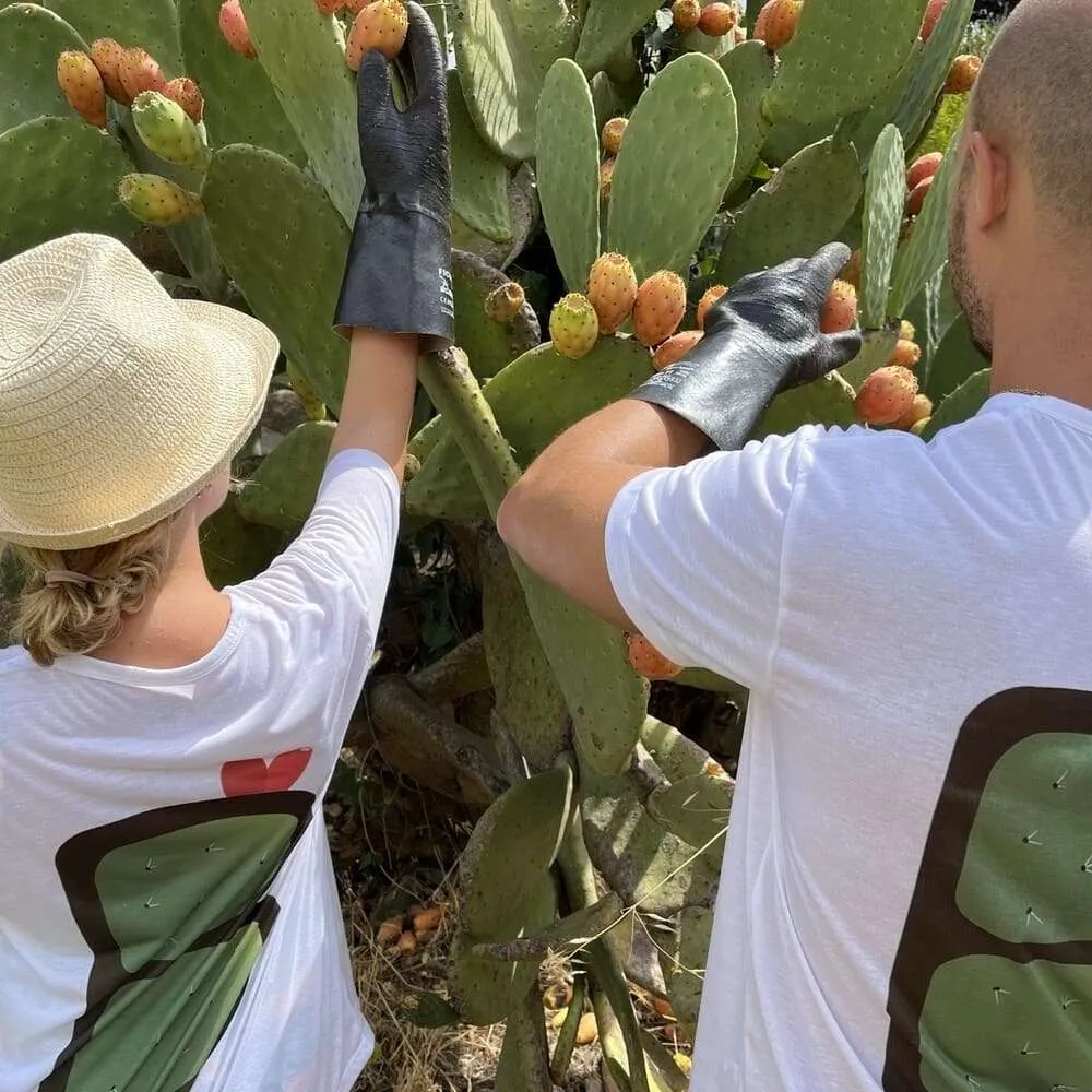 Guanti per fichi d’India