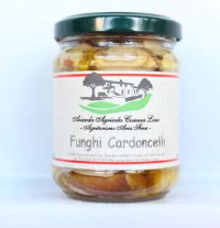 Funghi cardoncelli