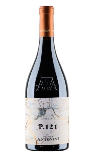 P.121 – DOGC Montepulciano d’Abruzzo