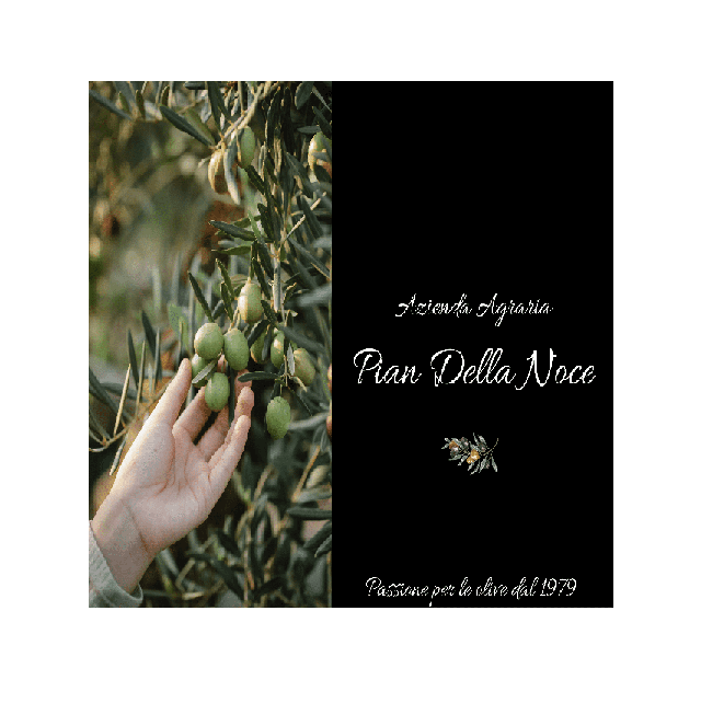 Pian Della Noce - Passione per le olive dal 1979