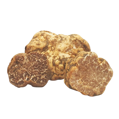 Tartufo bianchetto fresco (il nome scientifico è Tuber Borchi)